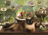 PZ 1000 CH TERRARIUM CAT