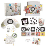 TAFTOYS NEWBORN DEVELOP AND PLAY KIT