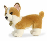 AUR MIYONI CORGI 10.5"