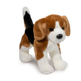 DCT BERNIE BEAGLE