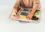 TAFTOYS SNAP'N LEARN BOARD