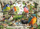 1000 RV OUR FEATHERED FRIENDS