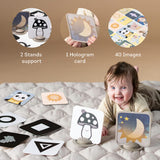 TAFTOYS MY FIRST DISCOVERIES FLASH CARDS