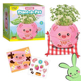 CFK PLANT-A-PET BARNYARD PIG
