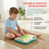 HAPE DYNAMO PIXEL PIANO