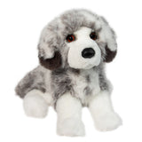 DCT DLUX SKYLAR AUSSIE AUSTRALIAN SHEPHERD