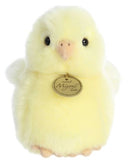 AUR MIYONI TOTS CHICK AMERAUCANA 8"