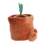 AUR PALM PAL TERRA POTTED PLANT 5"