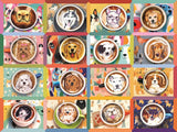 PZ 275 CH EASY HANDLING PUPPY LATTES