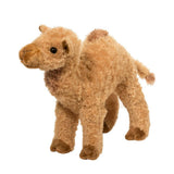 DCT LAWRENCE CAMEL