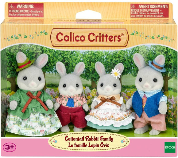 CC FAMILY COTTONTAIL RABBIT – The Discovery Hut