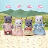CC FAMILY GREY/WHITE PERSIAN CAT