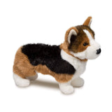 DCT KIRBY TRI CORGI MED