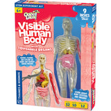 TK OOZE LABS: VISIBLE HUMAN BODY