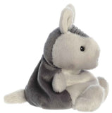 AUR PALM PALS ANTONIA ARMADILLO 5"