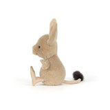 JC JERBOA RODENT