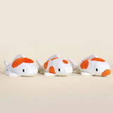 BELLZI KOHAKU KOI THE KOI FISH KUCHIBENI