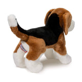 DCT BERNIE BEAGLE