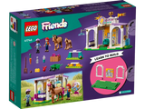 LEGO FRIENDS HORSE TRAINING