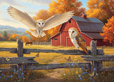 PZ 500 CH BARN AND OWLS