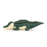 JC ALLEXI ALLIGATOR