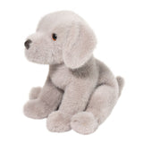DCT ARGENTO SILVER LAB PUP