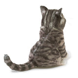 FM FP MINI TABBY CAT