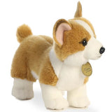 AUR MIYONI CORGI 10.5"