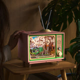 DIY TV SCENE SAKURA DREAM TOUR