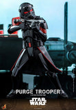 HOT TOYS 6TH SCALE SW PURGE TROOPER