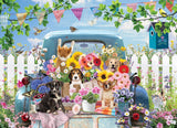 PZ 500 CH COUNTRY TRUCK IN SUMMER