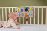 TAFTOYS DEVELOPMENTAL ACTIVITY CENTER