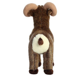 AUR MIYONI BIGHORN SHEEP 11"