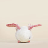 BELLZI MOTHI THE MOTH