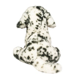 DCT MACKAY DALMATIAN