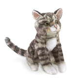 FM FP MINI TABBY CAT
