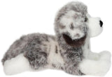 DCT DLUX SKYLAR AUSSIE AUSTRALIAN SHEPHERD