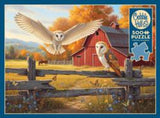 PZ 500 CH BARN AND OWLS