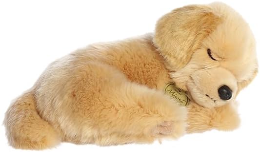 AUR MIYONI SLEEPY GOLDEN RETRIEVER 10