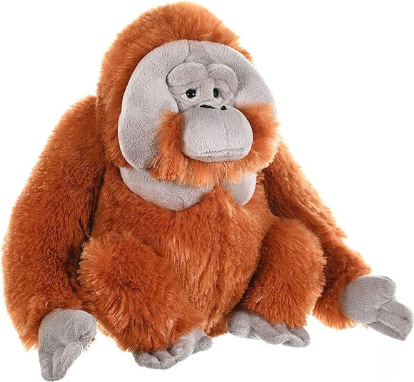 KM CUDDLEKINS ORANGUTAN 12