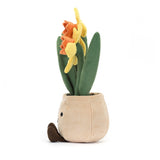 JC AMUSEABLE DAFFODIL POT 11"