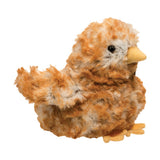 DCT CHICK ASSORTED