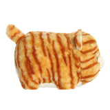 AUR SPUDSTERS TACO TABBY ORANGE 10"