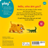 PLAYPLUS BOOK ARE YOU A LION LIKE ME?