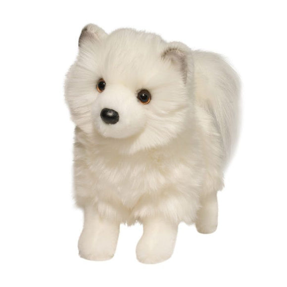 DCT PHOEBE POMSKY