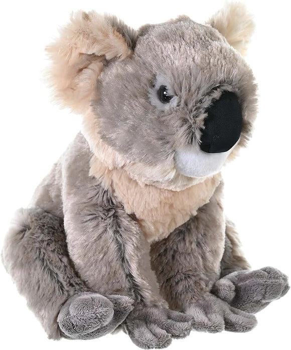 KM CUDDLEKINS KOALA 12