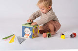 TAFTOYS PLAY AND DISCOVERY CUBE