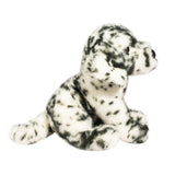 DCT MACKAY DALMATIAN