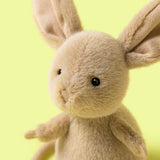 JC JERBOA RODENT
