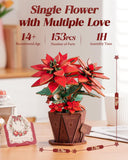 DIY MINI FLOWER KIT POINSETTIA